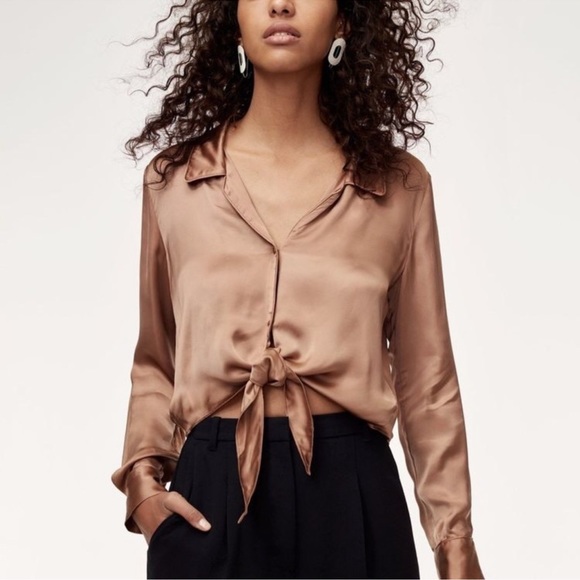Aritzia Tops - Aritzia Wilfred Tan/ Bronze Tie-Front Blouse